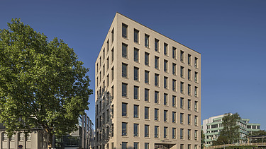 Foto Gebäudeteil mit Baum und blauem Himmel