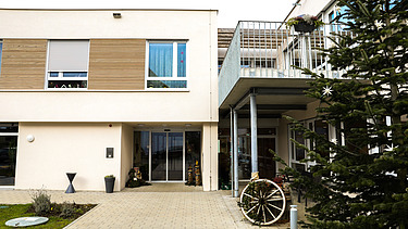 Foto Gebäudeeingang mit Weihnachtsbaum