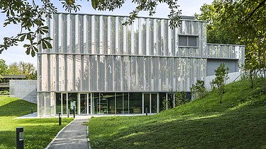 Foto mit Weg zum Eingangsbereich an der Seite