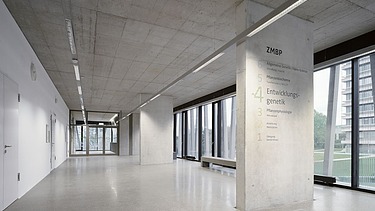 Foto Sichtbeton Flur