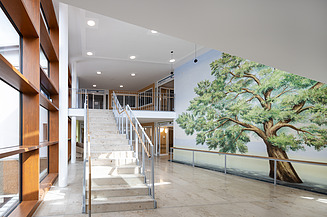 Foto im Innenbereich mit Steintreppe und bemalter Wand mit großem Baum