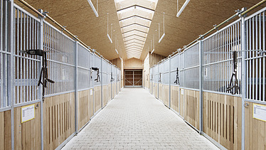 Foto im Inneren des Stall