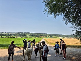 Foto von Jugendlichen mit Betreuern bei Alpaka-Wanderung