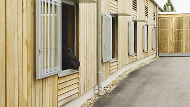 Foto von einem Stall, aus dem ein Pferd rausschaut