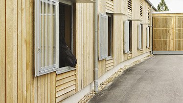 Foto von einem Stall, aus dem ein Pferd rausschaut